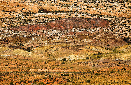 Multi-color Hillside at Arches National Park, UT